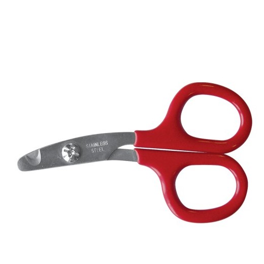 Coupe ongle petit modèle pour chat ou petit chien