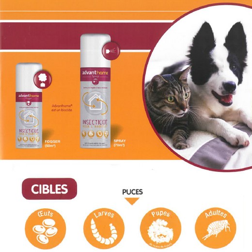Advanthome - Protection anti puce de l'habitat du chien