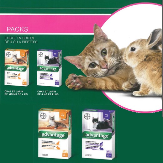 Advantage, traitement anti puces pour chat