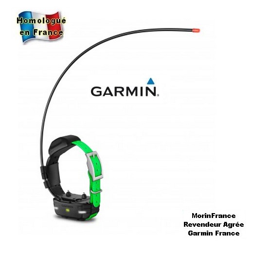 Garmin Alpha 100 / collier MINI TT15 - collier de repérage GPS + dressage pour petit chien
