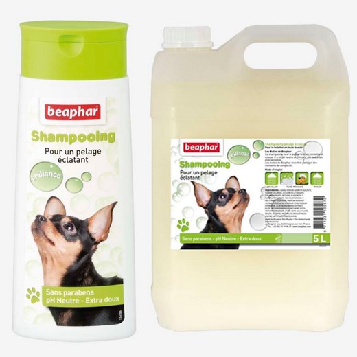Shampooing Brillance - Pelage éclatant