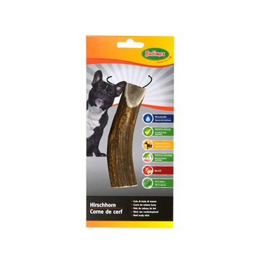 Corne de cerf - friandise pour chien