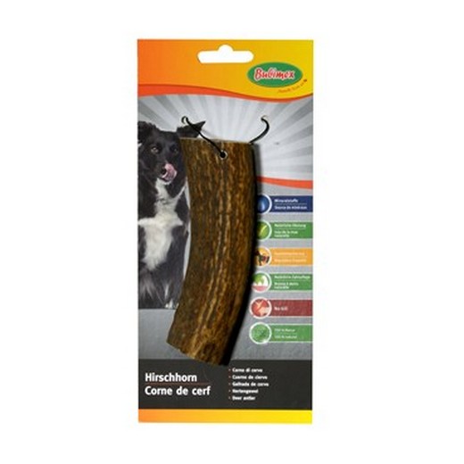 Corne de cerf - friandise pour chien