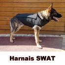 Harnais de protection SPECIAL SWAT pour chien