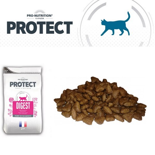 Flatazor Protect Chat - Dermato