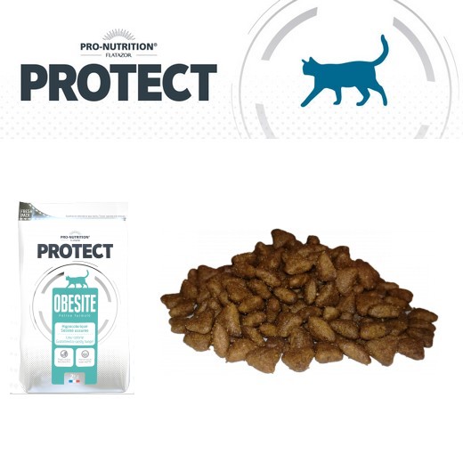 Croquettes pour chat Pro nutrition - Protect obésité