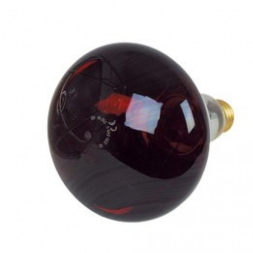 Ampoule pour stérilisateur pro 5watts