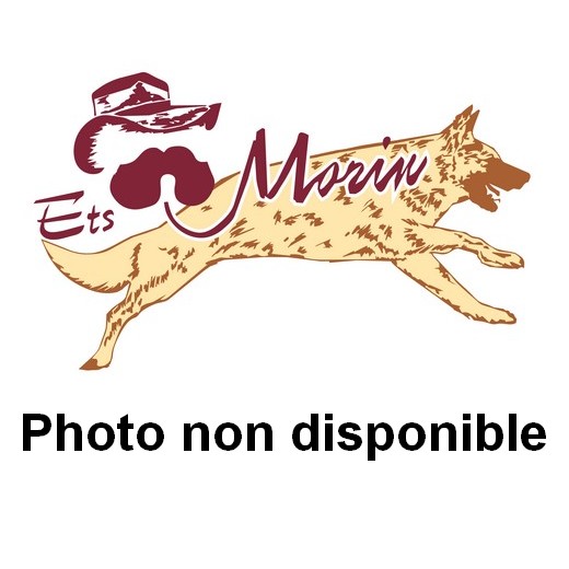 Canon portable lance filet à ressort pour oiseaux (5 fusées)