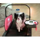 Mini DogPacer - Tapis roulant, Home Trainer pour chiens - image 3