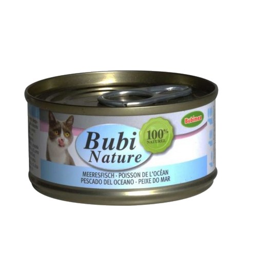 Bubi Nature chat, poisson de l'océan
