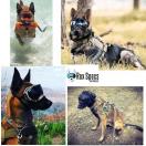 Lunette / masque de protection des yeux pour chien - XLARGE (chien + de 45 kg) - Rex Specs - image 2
