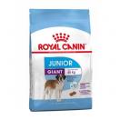 Giant junior - Croquettes Royal Canin
