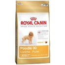 Poodle - Caniche - Royal Canin