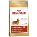 Dachshund - Teckel - Royal Canin