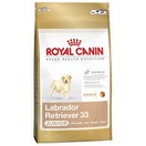 Labrador retreiver junior - Royal Canin