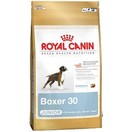Boxer junior - Royal Canin