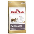 Bulldog Anglais Adulte - Royal Canin