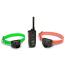 Beeper + T�l�commande 800 m Dogtra