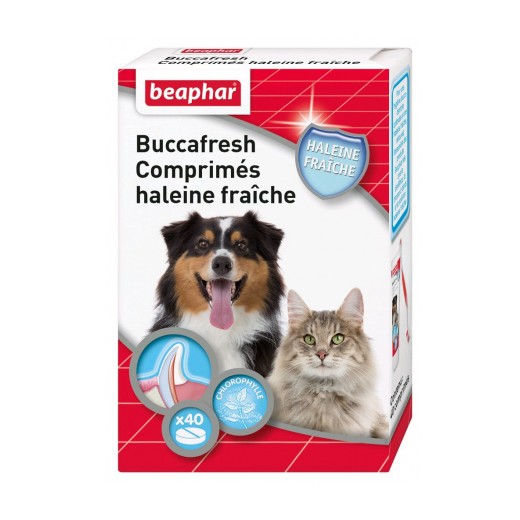 Tablettes désodorisantes de l'haleine