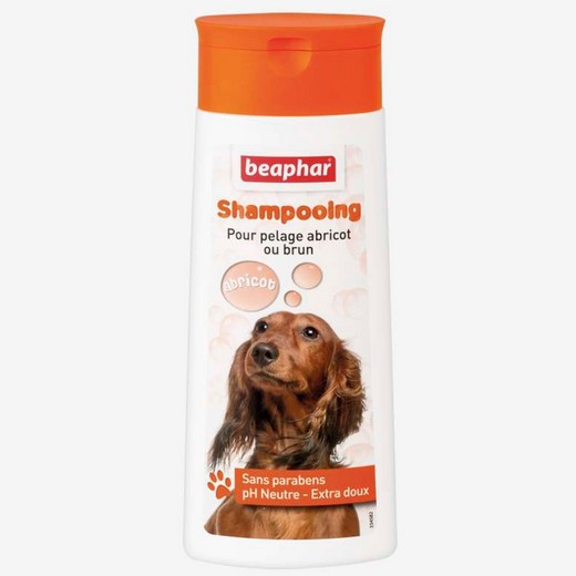 Shampooing pour pelage abricot ou roux