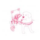 Chariot pour chiens  mobilit rduite - image 3