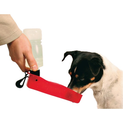 Distributeur d'eau portable pour chien en randonnée.