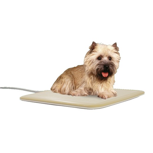 Plaque chauffante Thermo Master