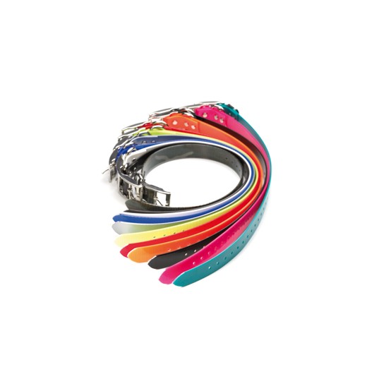 Collier fluo pour chiens, en PVC renforcé