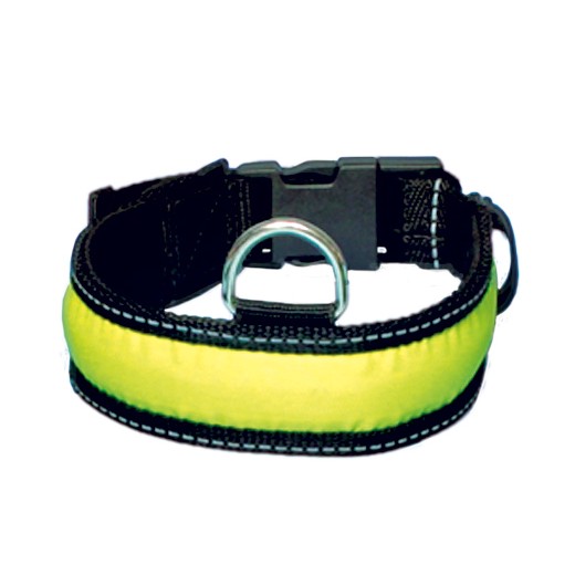 Colliers de sécurité lumineux pour chien