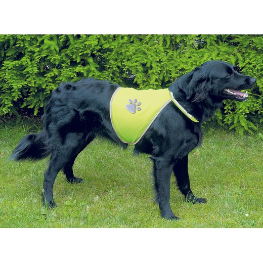Chasuble de sécurité pour chien