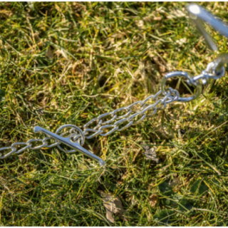 541001_2_541001_insitu.png