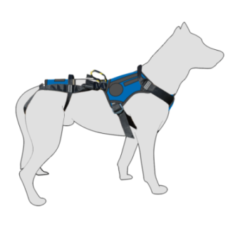 999308_1_999308_insitu.png