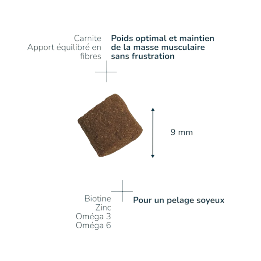 FP4120_2_produit.png