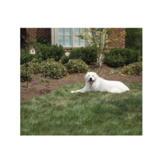 35003_3_35003_insitu.png