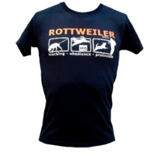 700828_1_produit.png