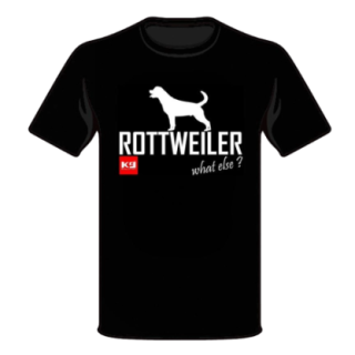 700615_1_produit.png