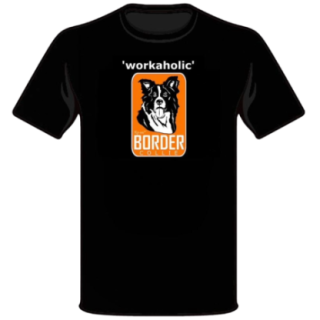 700620_1_produit.png