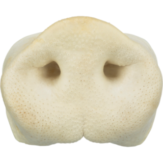 2722_1_produit.PNG