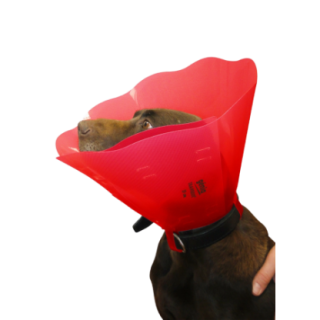 354802_2_354802_insitu.png