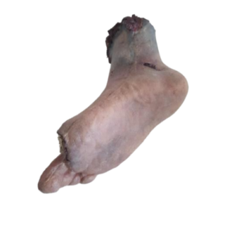 999986_1_produit.PNG