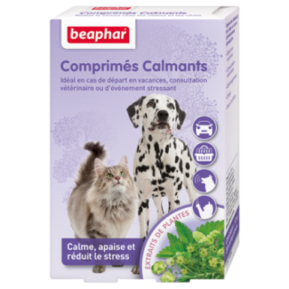 10790_1_produit.PNG
