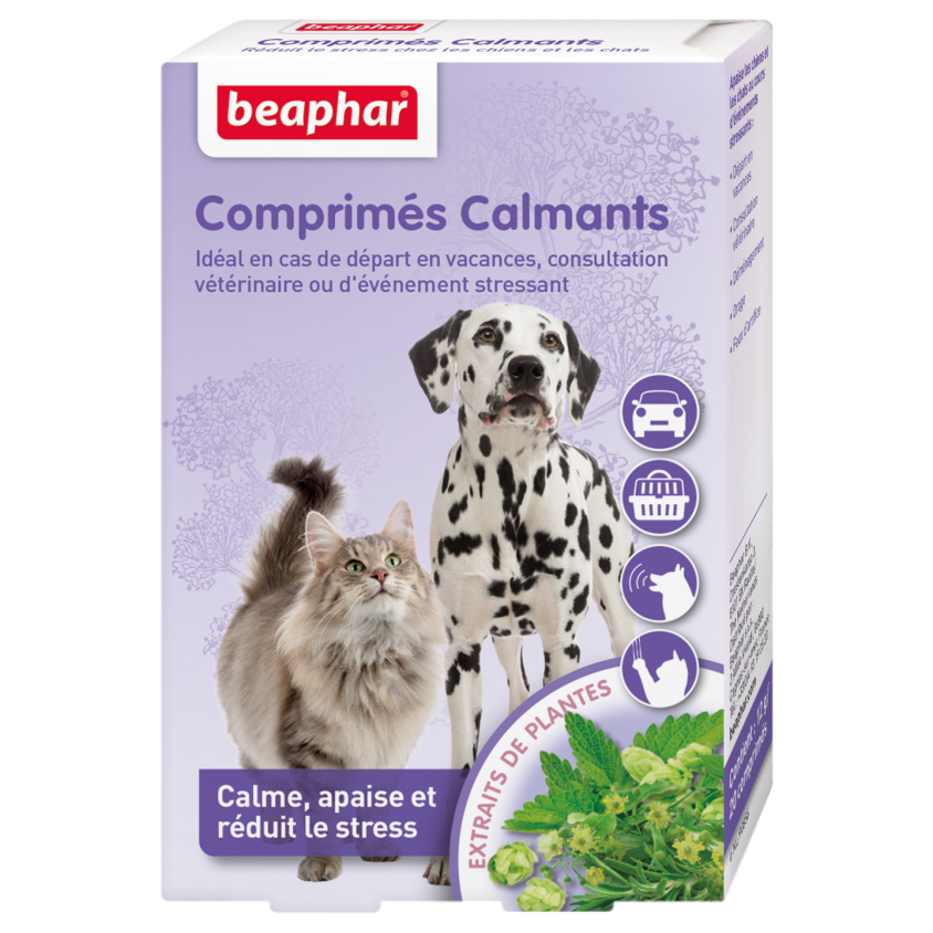 10790_1_produit.png
