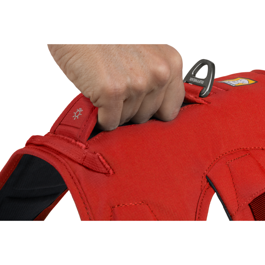 500900_5_produit.png