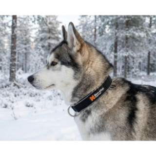 652151_3_652151_insitu.png