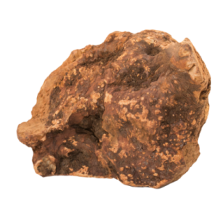 891100_1_produit.png