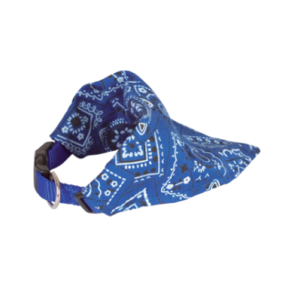 107919_1_produit.PNG