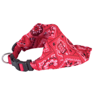 107917_1_produit.PNG