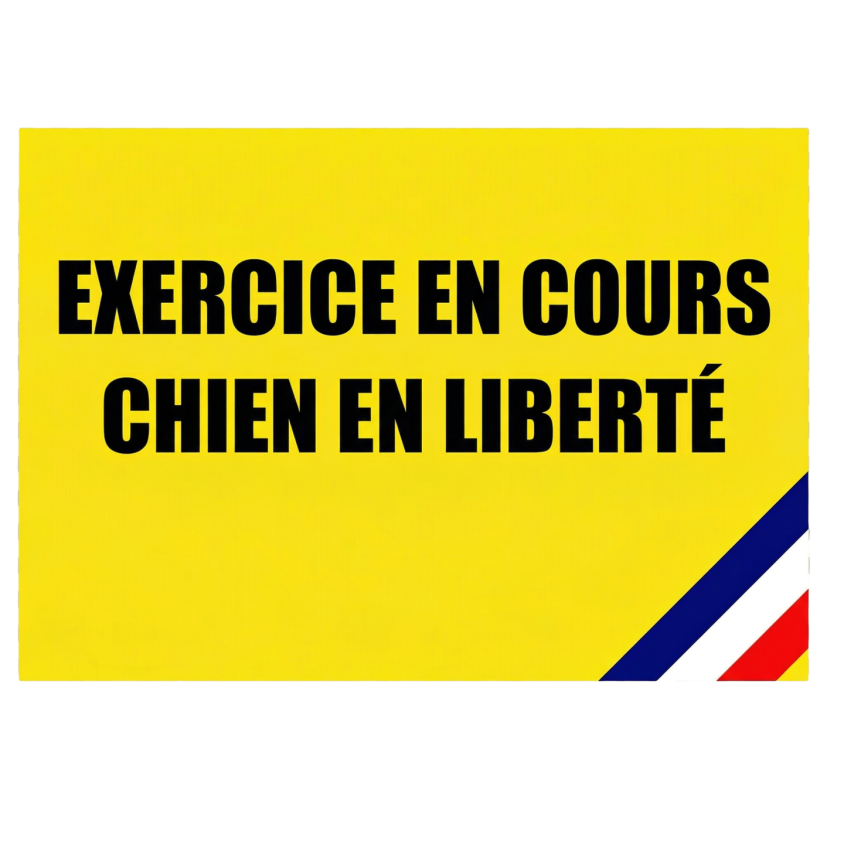 2889EXC_1_produit.png