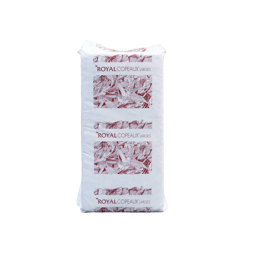 50002_1_produit.png