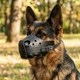 16102_2_insitu.png